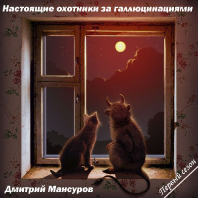 Мансуров Дмитрий - Настоящие охотники за галлюцинациями