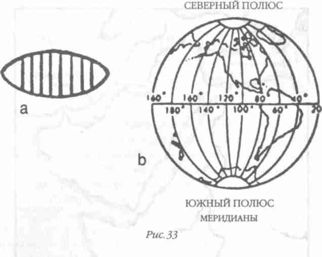 Назад в будущее. Разгадка секретного шифра Книги Бытия