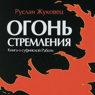 Жуковец Руслан - Огонь стремления. Книга о суфийской Работе