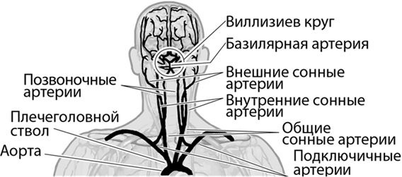 Не дай голове расколоться!