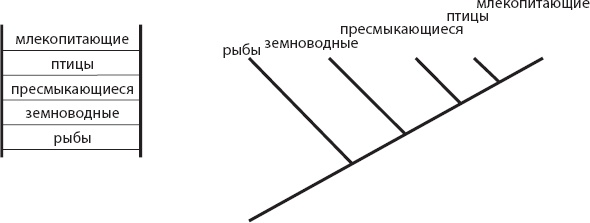 Мозг. Такой ли он особенный?