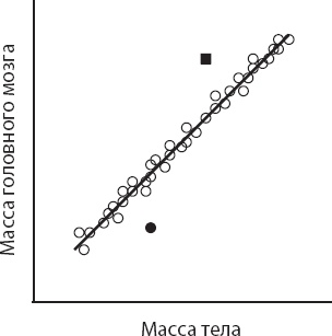 Мозг. Такой ли он особенный?