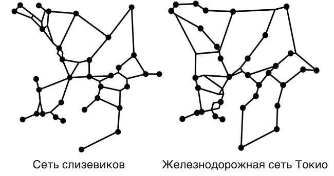 Футболоматика