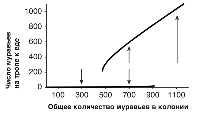 Футболоматика