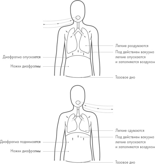 Физический интеллект