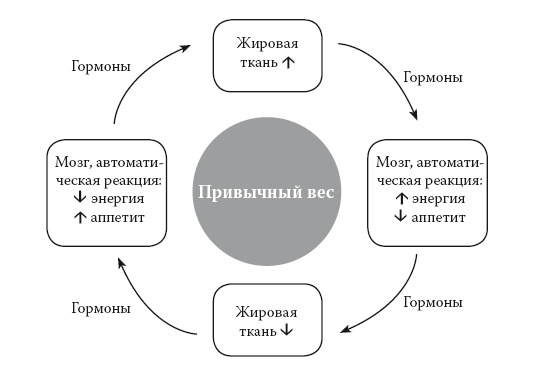 Умные калории: как больше есть, меньше тренироваться, похудеть и жить лучше