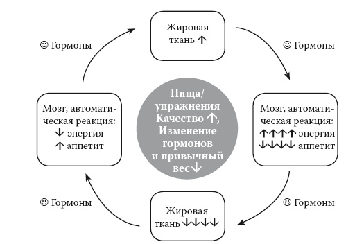 Умные калории: как больше есть, меньше тренироваться, похудеть и жить лучше