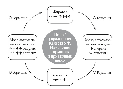 Умные калории: как больше есть, меньше тренироваться, похудеть и жить лучше