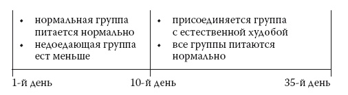 Умные калории: как больше есть, меньше тренироваться, похудеть и жить лучше