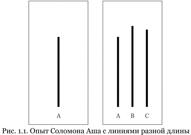 Почему им можно, а нам нельзя? Откуда берутся социальные нормы