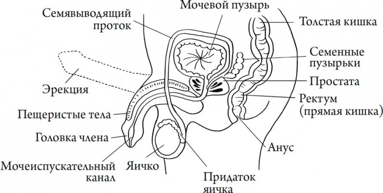 Человек Противный