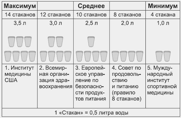 Здоровье без фанатизма: 36 часов в сутках