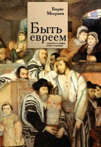 Быть евреем: секреты и мифы, ложь и правда - Борис Меерзон