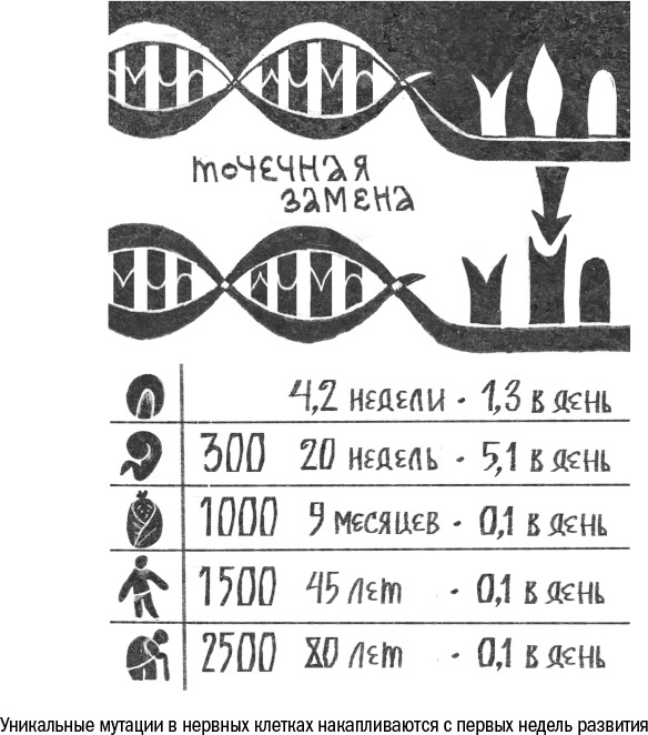 Против часовой стрелки