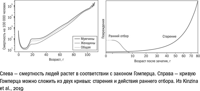 Против часовой стрелки