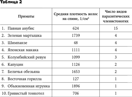 Странная обезьяна. Куда делась шерсть и почему люди разного цвета