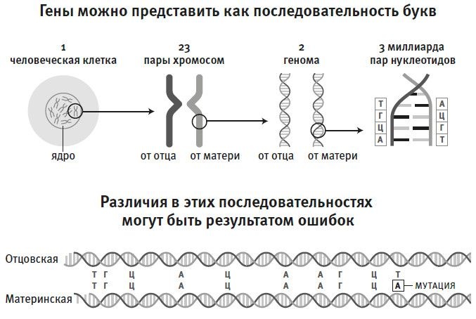 Кто мы и как сюда попали. Древняя ДНК и новая наука о человеческом прошлом