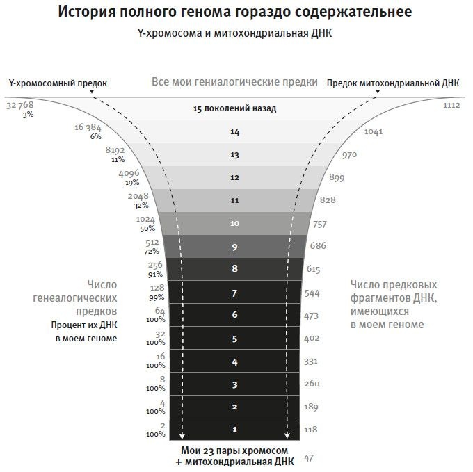 Кто мы и как сюда попали. Древняя ДНК и новая наука о человеческом прошлом