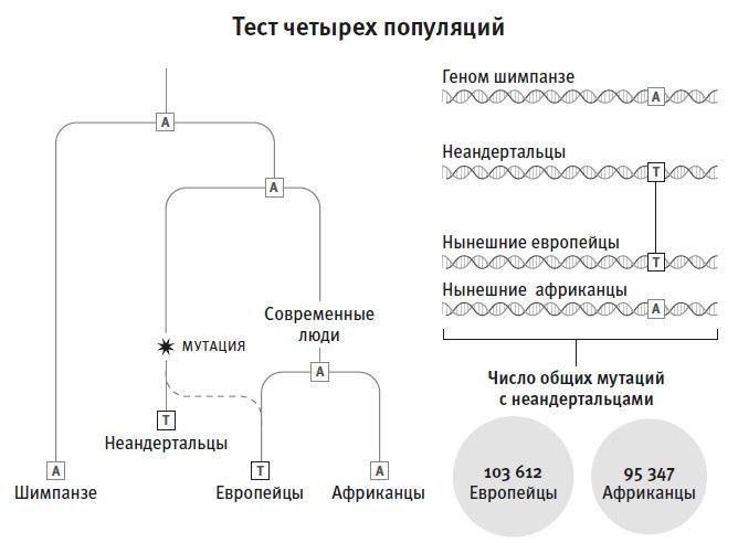 Кто мы и как сюда попали. Древняя ДНК и новая наука о человеческом прошлом