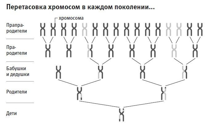 Кто мы и как сюда попали. Древняя ДНК и новая наука о человеческом прошлом