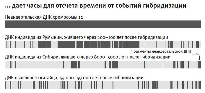 Кто мы и как сюда попали. Древняя ДНК и новая наука о человеческом прошлом