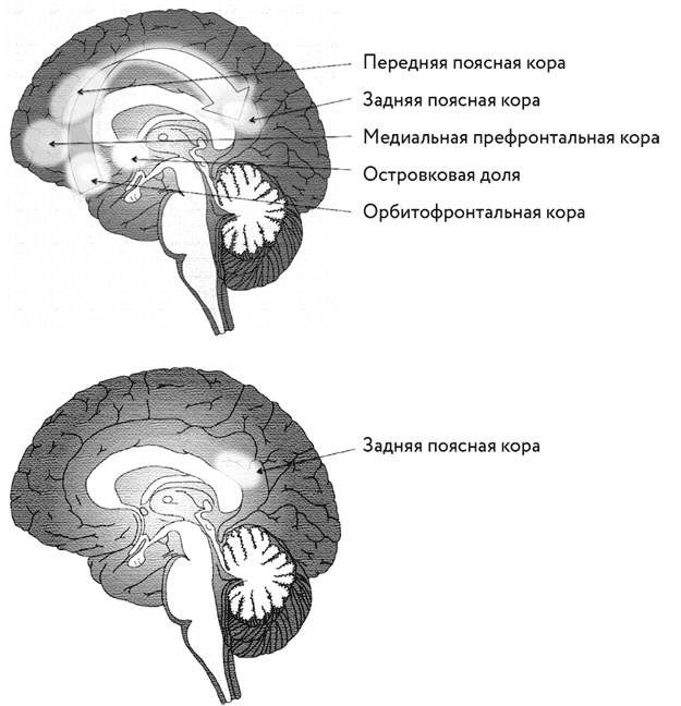 Тело помнит все