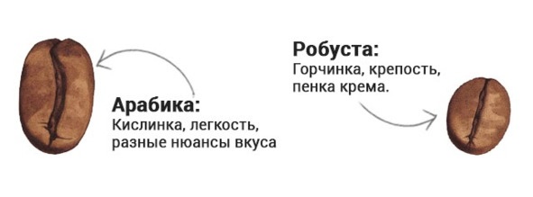 Кофейня без&nbsp;франшиз. Руководство по открытию уникальной&nbsp;кофейни