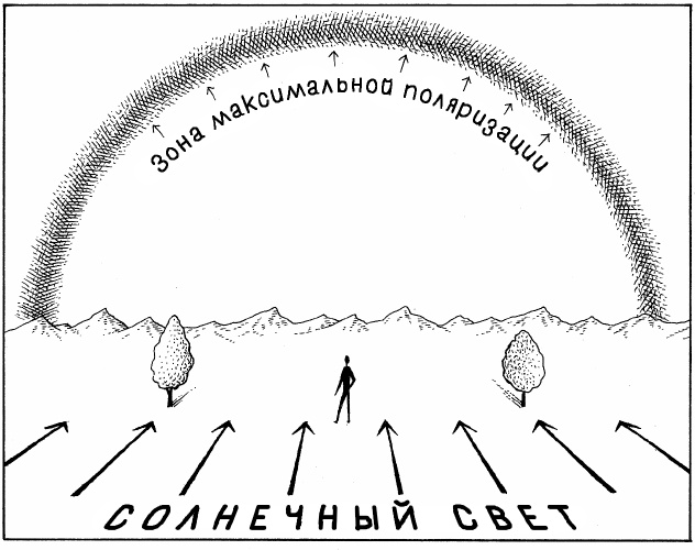 Супернавигаторы. О чудесах навигации в животном мире