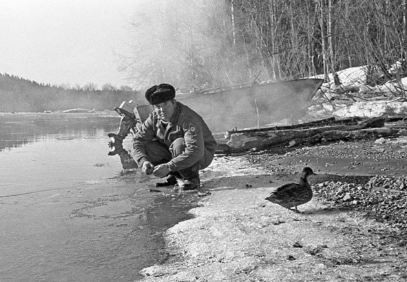 Моя тропа. Очерки о природе