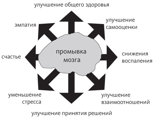 Промывка мозга. Программа для ясного мышления, укрепления отношений с людьми и развития полезных привычек