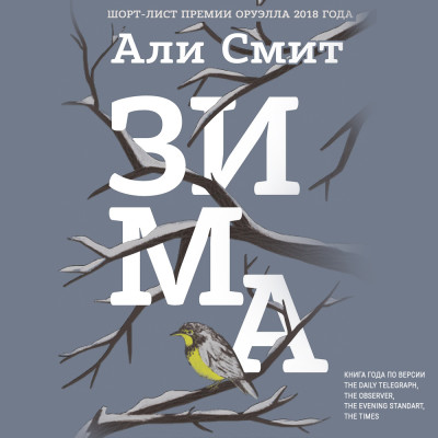 Зима - Смит Али