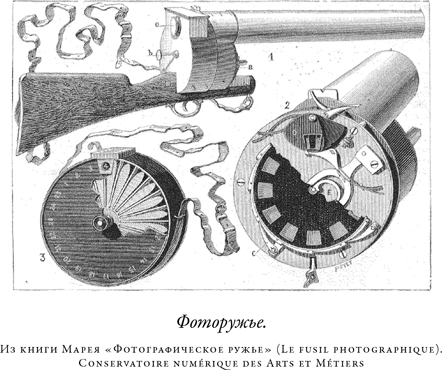 Загадка падающей кошки и фундаментальная физика