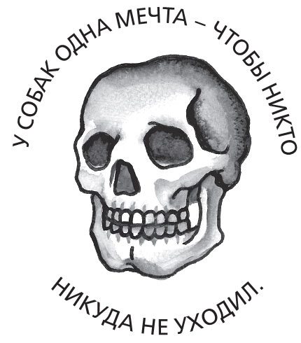 На затравку. Моменты моей писательской жизни, после которых все изменилось