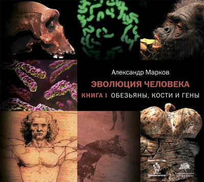 Обезьяны, кости и гены - Марков Александр