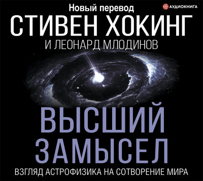 Высший замысел. - Хокинг Стивен, Млодинов Леонард