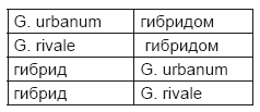 Тест на ДНК. С чего все начиналось? О наследственности, изменчивости и эволюции