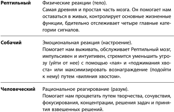 Маленькие ритуалы для больших достижений. 4 простые привычки, которые сделают вас счастливым и эффективным