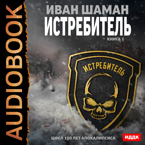 100 лет апокалипсиса. Истребитель. Книга 1 - Шаман Иван