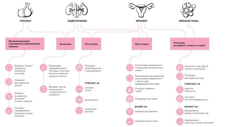 Вся правда о гормонах. Секс, красота, здоровье, карьера