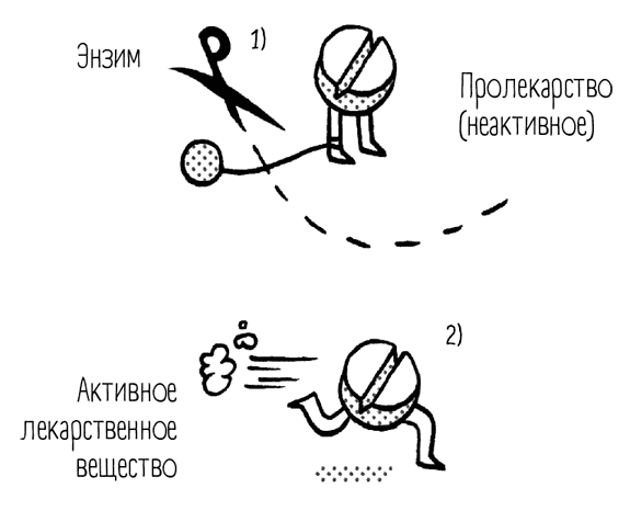 Чем запить таблетку? Фармацевт о том, почему нельзя делить таблетки на части, хранить их на кухне и запивать всем подряд