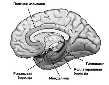 Между Ницше и Буддой: счастье, творчество и смысл жизни