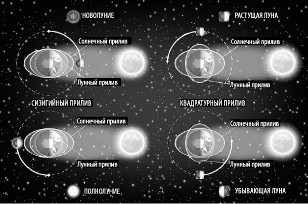 Взламывая планету Земля