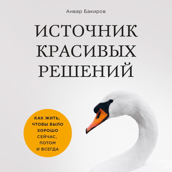 Источник красивых решений. Как жить, чтобы было хорошо сейчас, потом и всегда - Бакиров Анвар