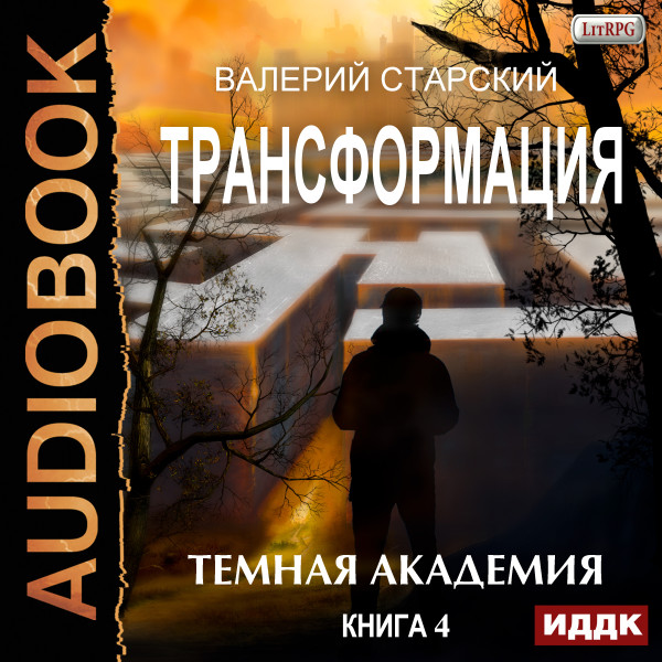 Трансформация. Книга 4. Темная академия - Старский Валерий