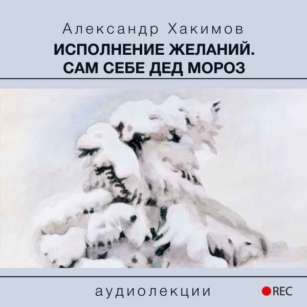 Исполнение желаний. Сам себе Дед Мороз - Хакимов Александр