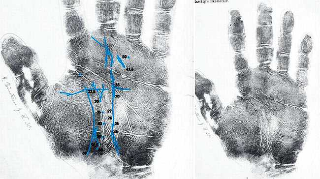 Психология руки. Полный обзор теории и практики хиромантии
