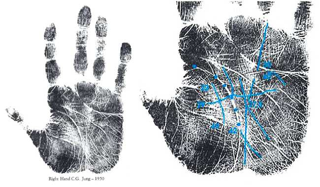 Психология руки. Полный обзор теории и практики хиромантии