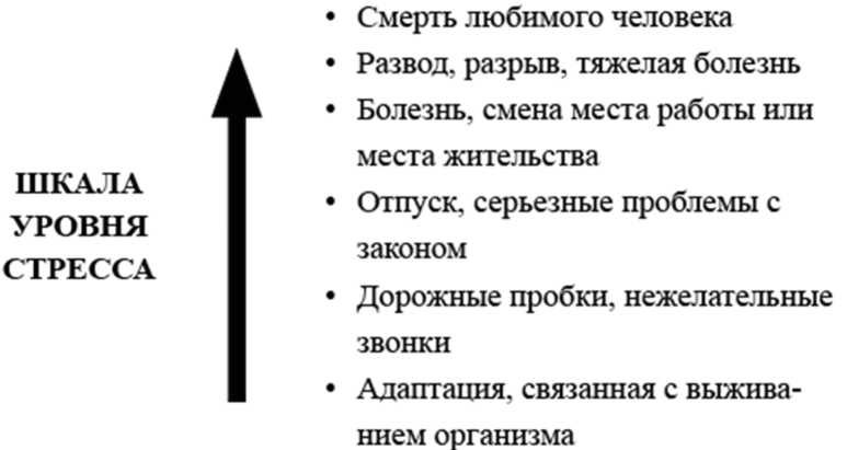 Жизнь после утраты: Как справиться с горем и обрести надежду