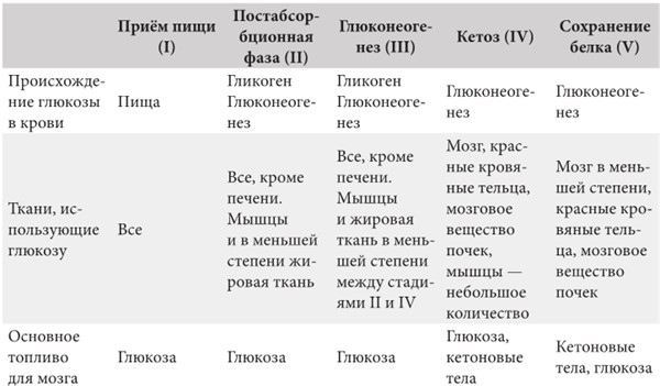 Интервальное голодание. Как восстановить свой организм, похудеть и активизировать работу мозга