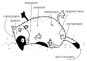 Женщины и коты, мужчины и кошки